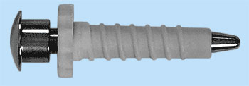 endo_linza_tor11.jpg