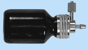endo_linza_tor13.jpg