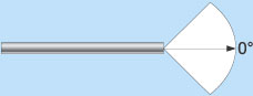 endo_linza_tor2.jpg