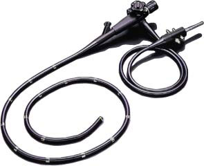 endo_pentax-colw.jpg